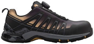 Skyddssko Monitor Gold Boa