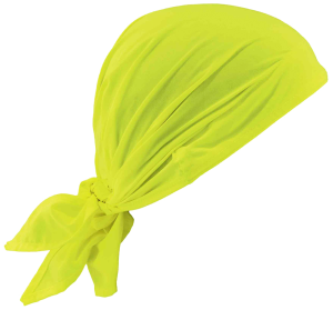 Bandana Cooling Ergodyne 6710CT